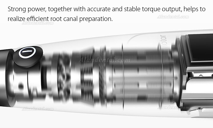 Woodpecker Ai-Motor Dental Endo Motor Apex Locator Brushless Cordless